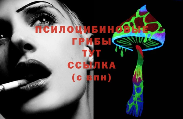 дурь Богородицк