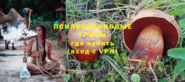 прущие крисы Покачи