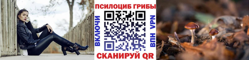 omg ссылки  Братск  Псилоцибиновые грибы мицелий  хочу  